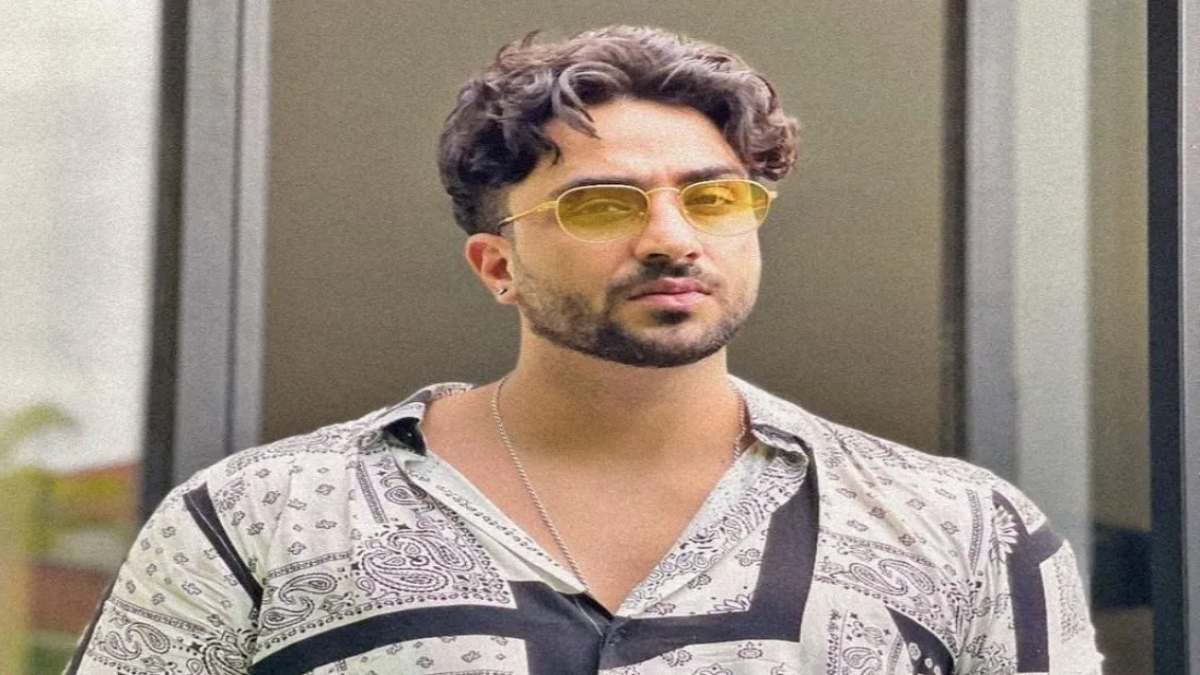 सीजफायर पर बोलकर ट्रोल हुए Aly Goni, अब पोस्ट शेयर कर ट्रोलर्स को दिया मुंहतोड़ जवाब …