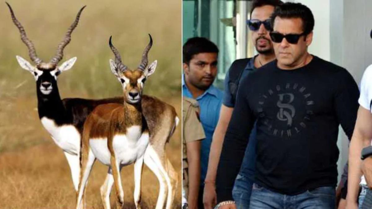 काला हिरण शिकार मामला: हाईकोर्ट जस्टिस ने सलमान खान की अपील पर सुनवाई से किया इंकार