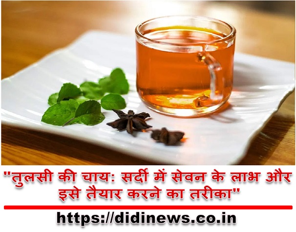 "तुलसी की चाय: सर्दी में सेवन के लाभ और इसे तैयार करने का तरीका"