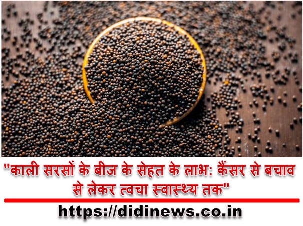 "काली सरसों के बीज के सेहत के लाभ: कैंसर से बचाव से लेकर त्वचा स्वास्थ्य तक"