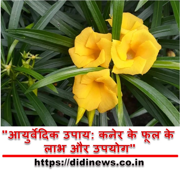 "आयुर्वेदिक उपाय: कनेर के फूल के लाभ और उपयोग"