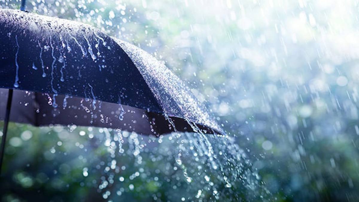 Health Care in Monsoon: मानसून में बढ़ती है बीमारियों की दस्तक, इनसे करें अपना बचाव…