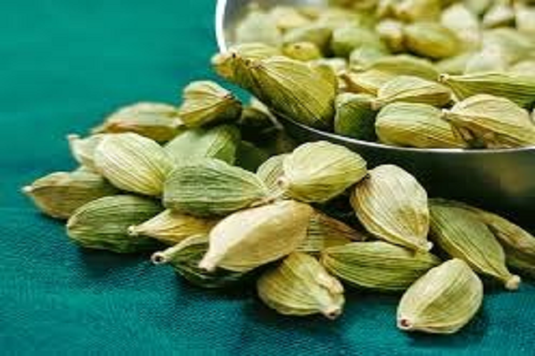 कई समस्याओं में लाभकारी है हरी  इलायची