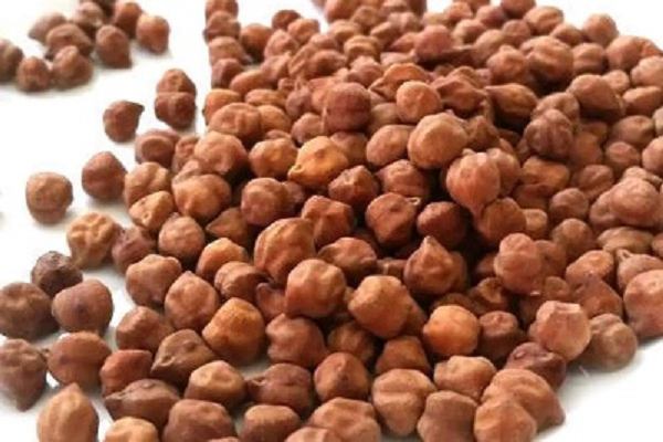 रोज खाएं उबले काले चने