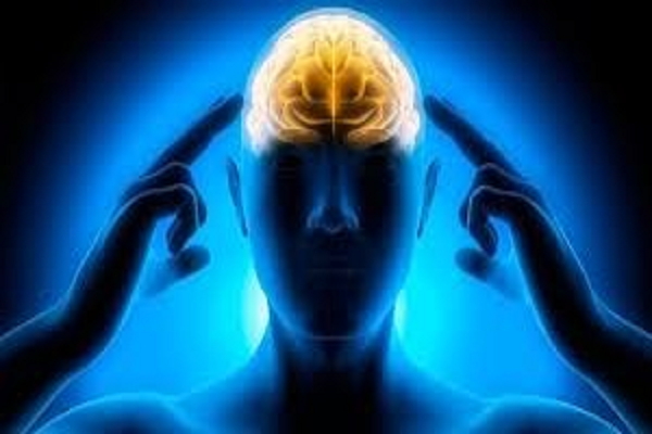 याददाश्त के लिए फायदेमंद फूड्स