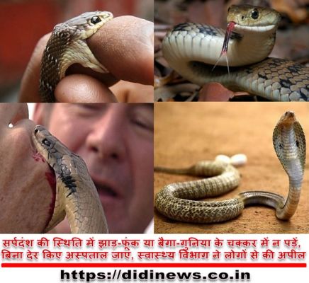 सांप के काटने पर बिना देर किए नजदीकी स्वास्थ्य केन्द्र में कराएं इलाज