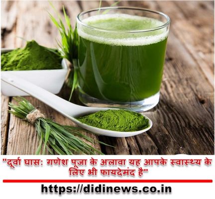 "दूर्वा घास: गणेश पूजा के अलावा यह आपके स्वास्थ्य के लिए भी फायदेमंद है"