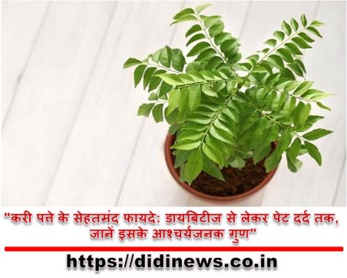 "करी पत्ते के सेहतमंद फायदे: डायबिटीज से लेकर पेट दर्द तक, जानें इसके आश्चर्यजनक गुण"