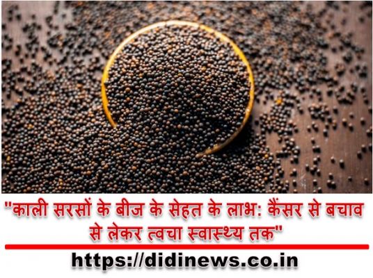 "काली सरसों के बीज के सेहत के लाभ: कैंसर से बचाव से लेकर त्वचा स्वास्थ्य तक"