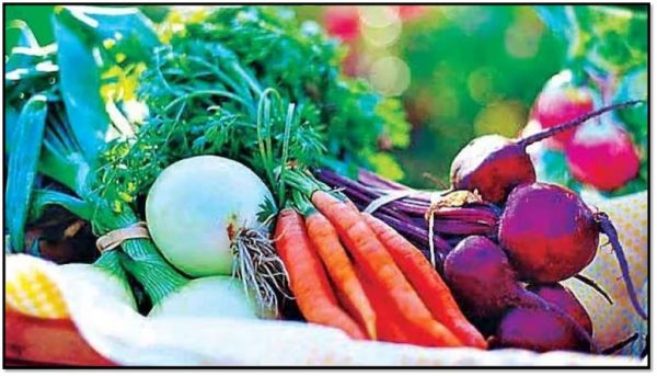 मार्च में घर पर उगाई जाने वाली सब्जियाँ: उनके फायदे और उनकी बुवाई
