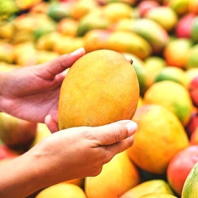 स्वाद के चक्कर में सेहत से ना हो खिलवाड़...इसलिए ऐसे खाएं आम