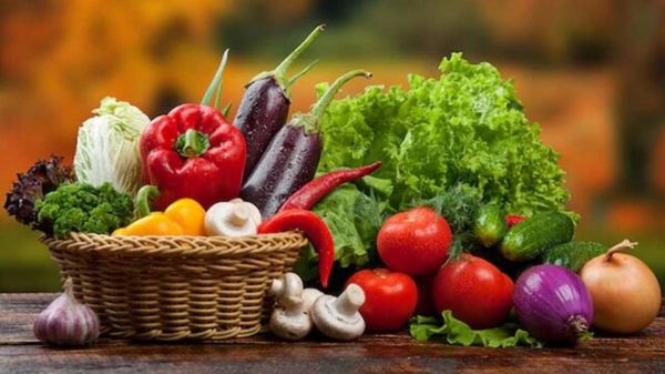 Mansoon Ke Liye Healthy Sabji : बरसात में कुछ सब्जियां सेहत के लिए हैं अच्छी तो कुछ पहुंचा सकती है आपको नुकसान, जाने क्या है वो…