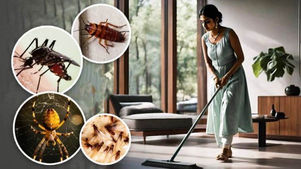 मानसून है कीड़े-मकोड़े का मौसम, जाने किन घरेलू उपायों से पाएं इनसे निजात