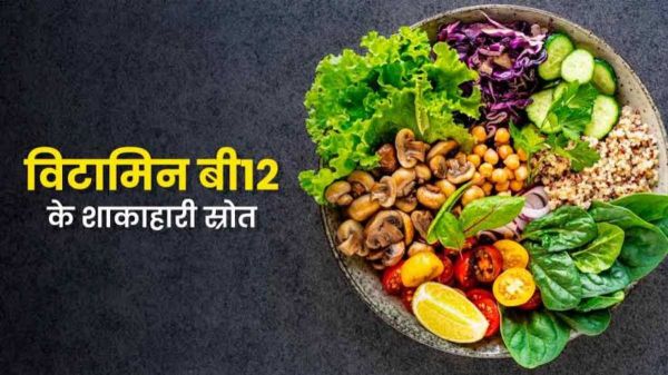 सावन में शाकाहारियों के लिए विटामिन B12 से भरपूर फूड्स, शरीर की कमजोरी होगी दूर