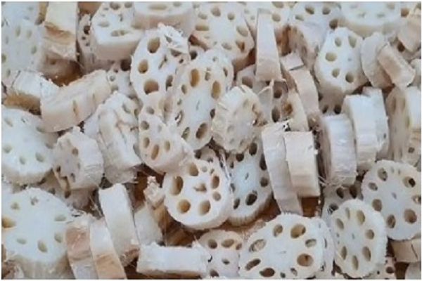 सेहत के लिए बेहद फायदेमंद होती है कमल ककड़ी