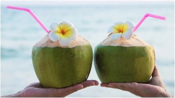 नारियल  पानी पीने के साइड इफेक्ट्स