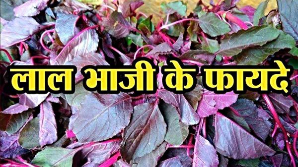 Lal Bhaji है गुणों का भंडार, एक बार इसके फायदे जान गए तो आप भी खाएंगे बड़े चाव से&hellip;