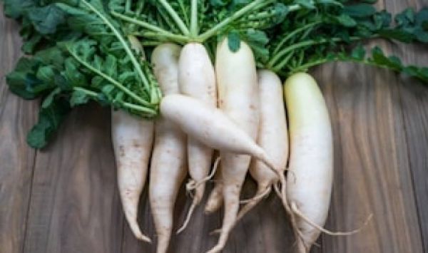 Health Tips : सर्दी की डाइट में शामिल करें मूली...मोटापा समेत ये 5 परेशानी हो जाएगी छूमंतर.