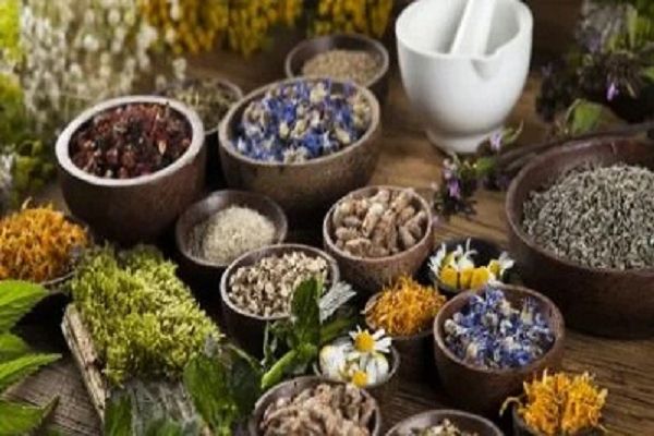 भारत की पारंपरिक चिकित्सा को प्रोत्साहन देने की मांग