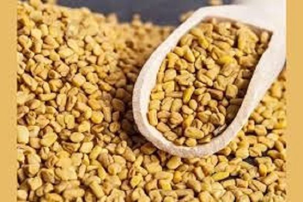 हर रोज सुबह-सुबह खाली पेट इस तरह से कर लें मेथी दाने का सेवन