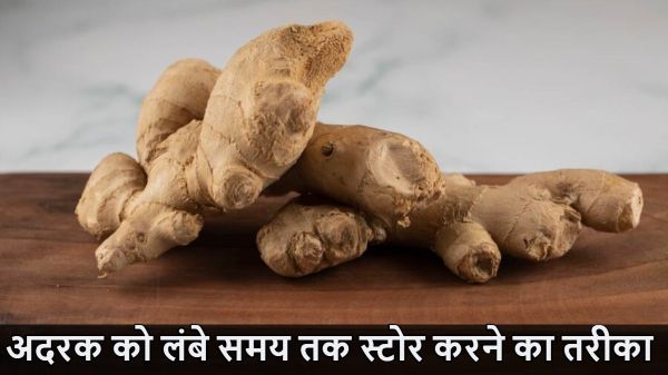 अदरक को इन तरीकों से कर लें स्टोर, 6 महीने तक नहीं होगा खराब, स्वाद रहेगा बरकरार