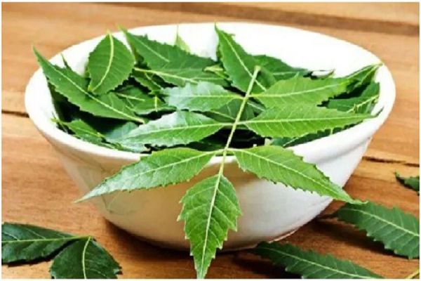 नाभि में ये 3 तेल डालो, शरीर के सारे दर्द हो जाएंगे दफा