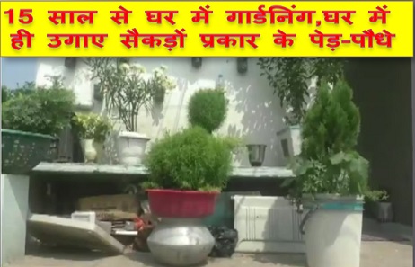 15 साल से घर में गार्डनिंग, घर में ही उगाए सैकड़ों प्रकार के पेड़-पौधे,देखे देसी जुगाड़