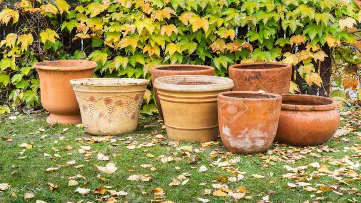 Vastu tips: घर की इस दिशा में जरूर रखें खाली गमला, जानिए क्या कहता है वास्तुशास्त्र&hellip;