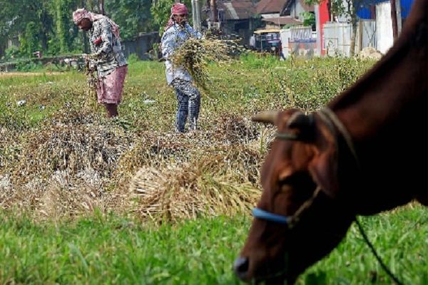 गांवों की खुशहाली मापने के लिए बनाएं नए मानदंड