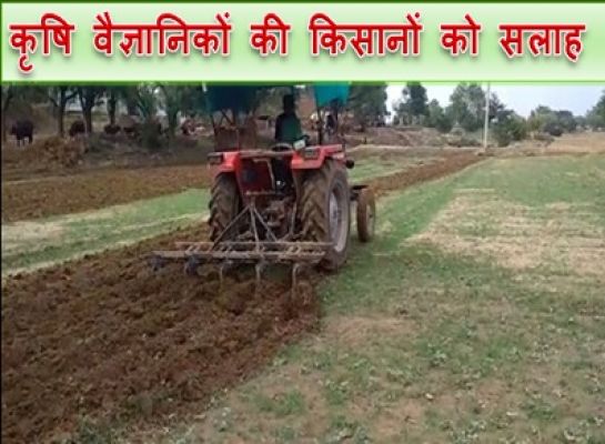 कृषि वैज्ञानिकों की किसानों को सलाह बीज की बुआई से पहले इन प्रक्रियाओं को अपनाने की अपील की