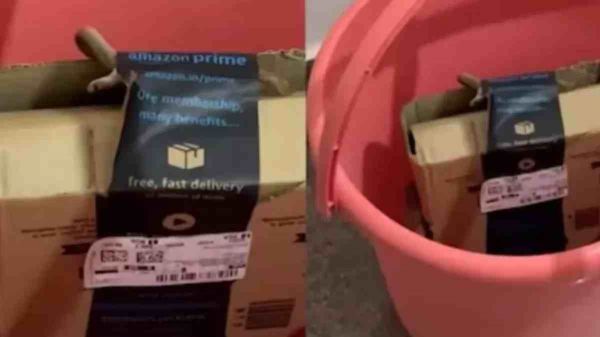 अमेजन पार्सल में निकला जिंदा कोबरा, कंपनी ने मांगी माफी, महिला को रिफंड किया पूरा पैसा